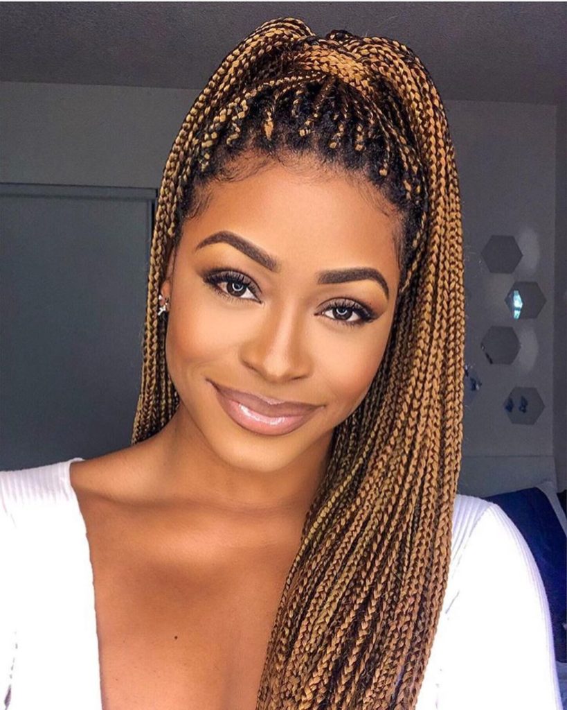 2023 Braided Hairstyles : Cute Braids to Copy Now | Zaineey's Blog