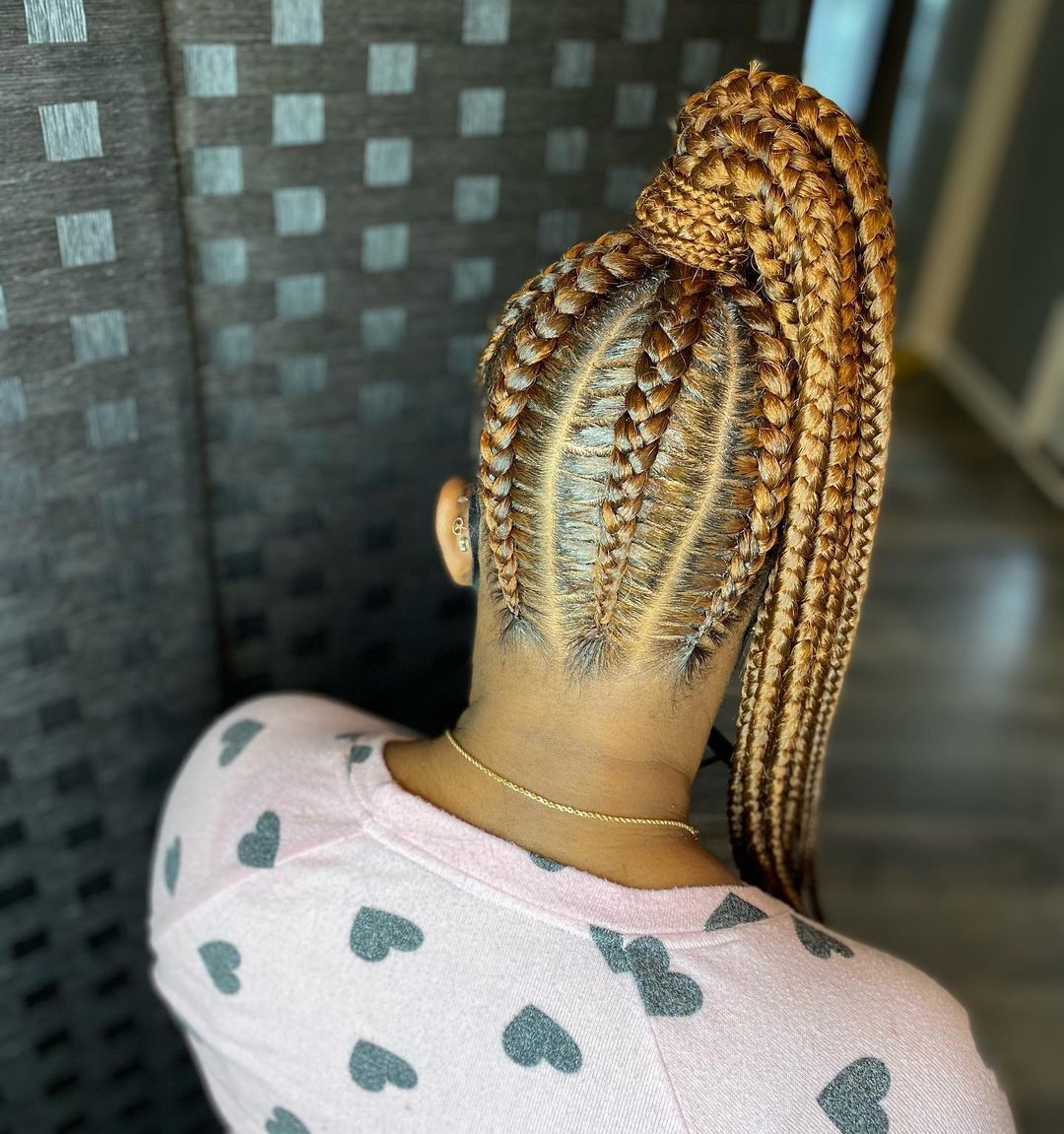black braided ponytail hairstyles 2