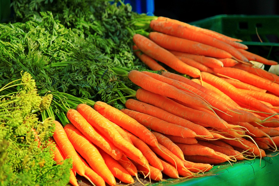 food to develop your baby's brain during pregnancy - carrots