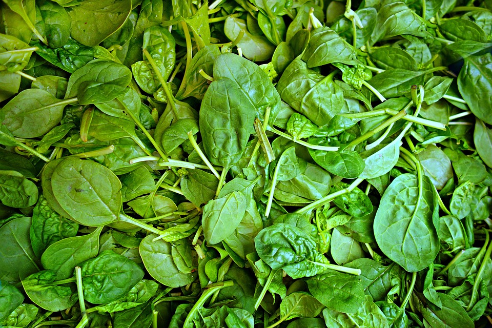 food to develop your baby's brain during pregnancy - spinach