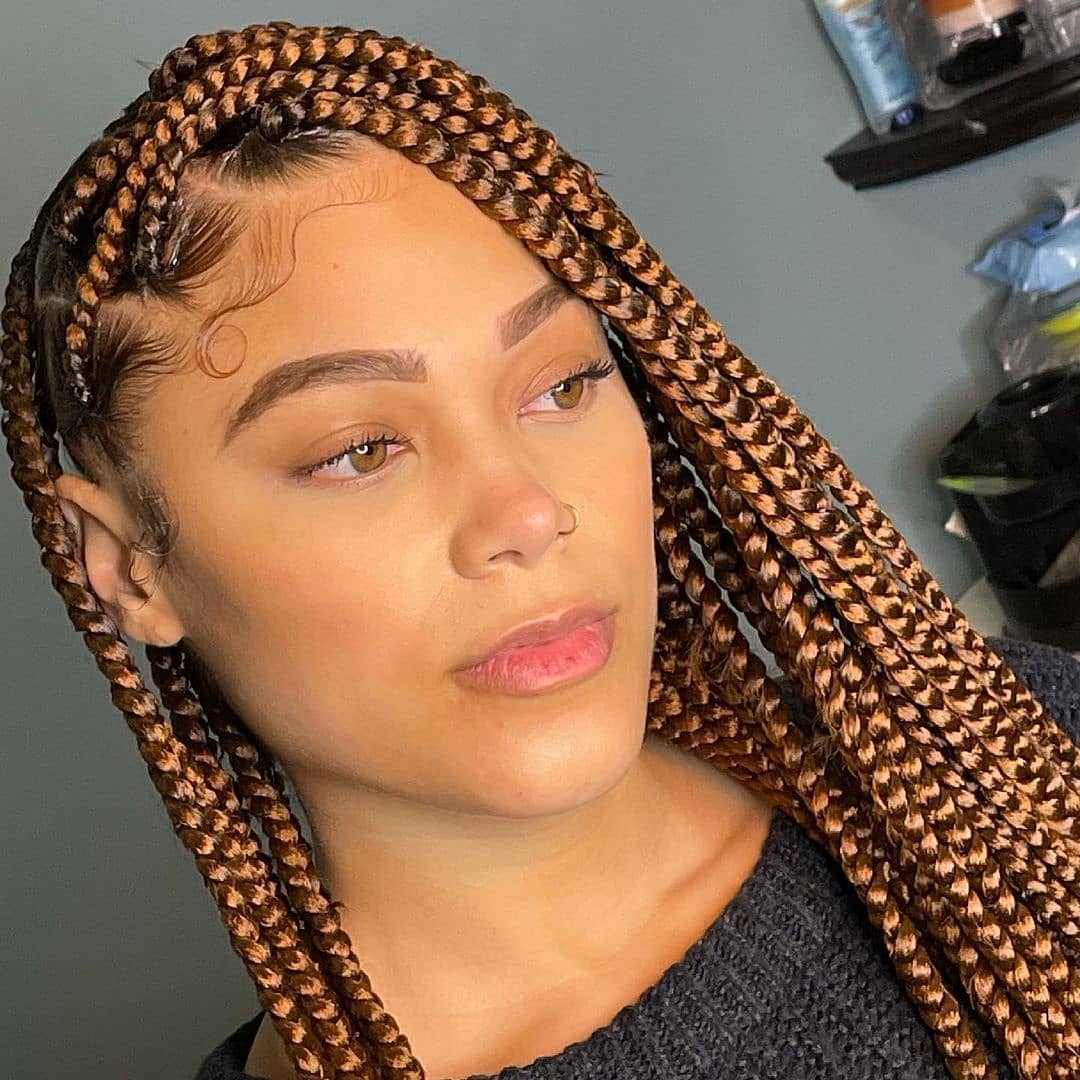 braids hairstyles 2023 pictures 6
