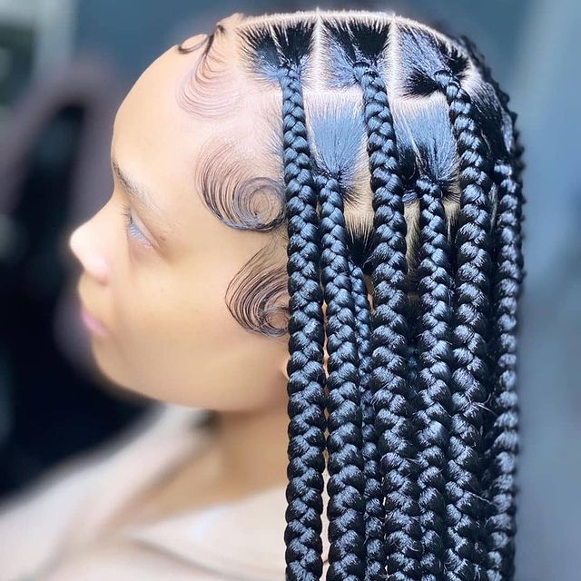 braids hairstyles 2023 pictures