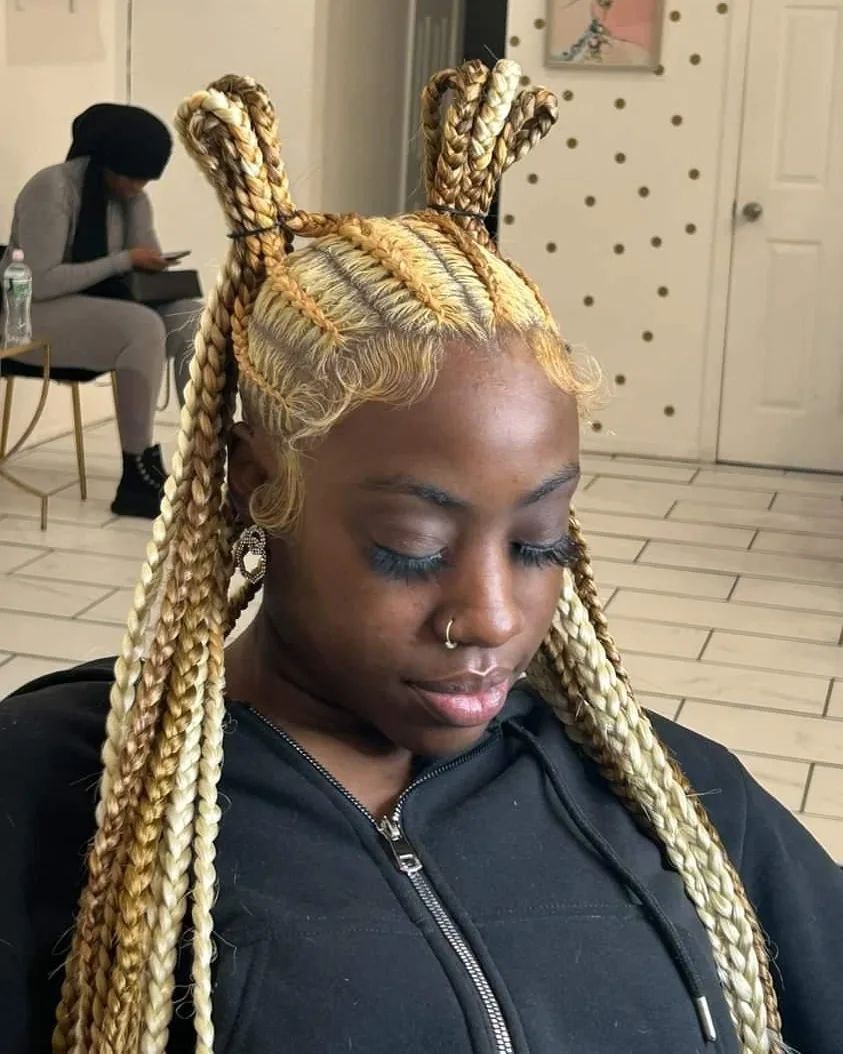 trendy braided hairstyles 4
