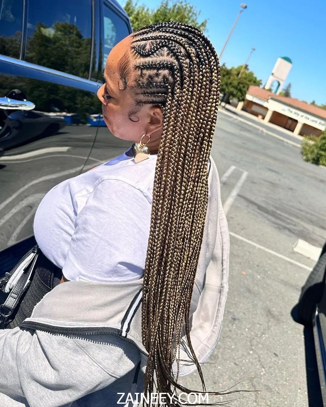 braids hairstyles black women app 19